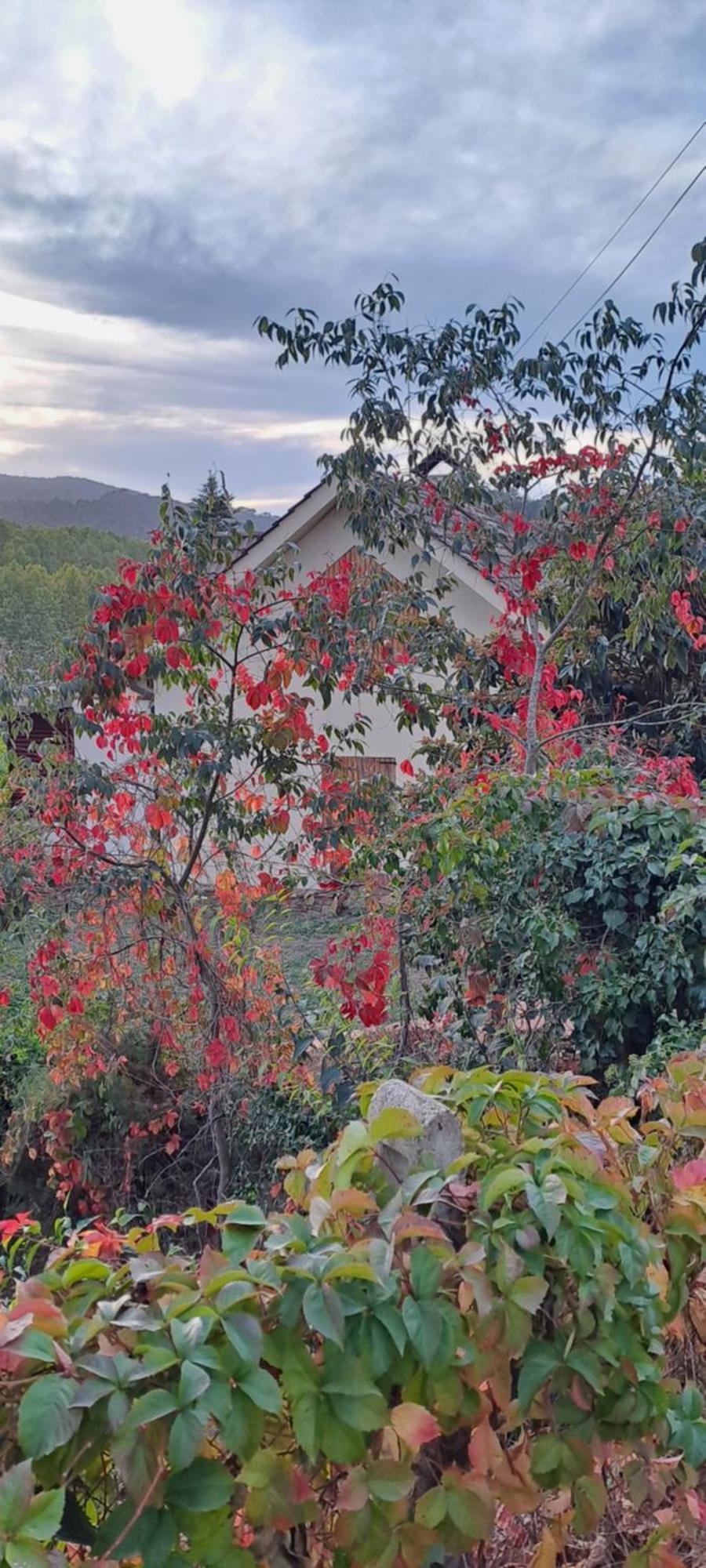 Chalet Entre Parques Naturales Vallgorguina Exterior photo
